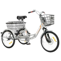 Трехколесный велосипед для взрослых РВЗ Чемпион 20" 1 скорость (складной) серебристый